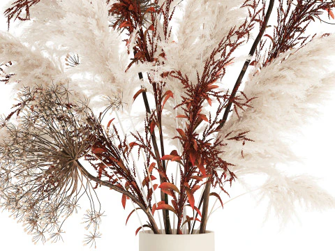 Bouquet Dried Flowers Branches Hogweed Cortaderia 565 3D Model