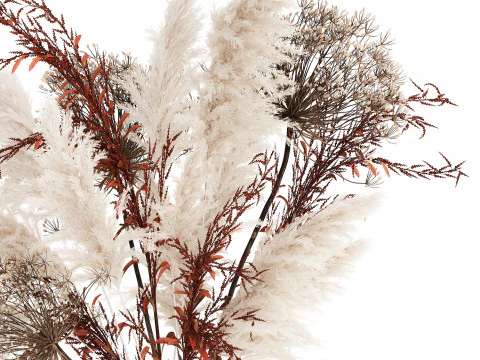 Bouquet Dried Flowers Branches Hogweed Cortaderia 565 3D Model