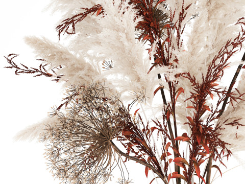 Bouquet Dried Flowers Branches Hogweed Cortaderia 565 Modelo 3D