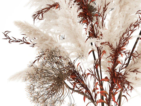 Bouquet Dried Flowers Branches Hogweed Cortaderia 565 3D Model