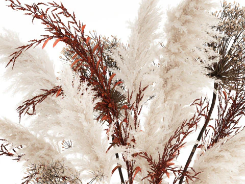 Bouquet Dried Flowers Branches Hogweed Cortaderia 565 3D Model