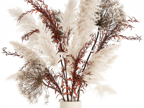 Bouquet Dried Flowers Branches Hogweed Cortaderia 565 3D Model
