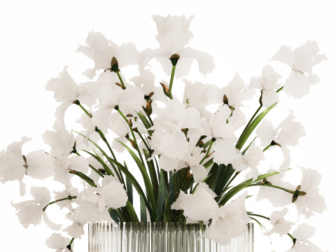 Beautiful white bouquet in a glass vase with flowers Iris 566 Modelo 3D