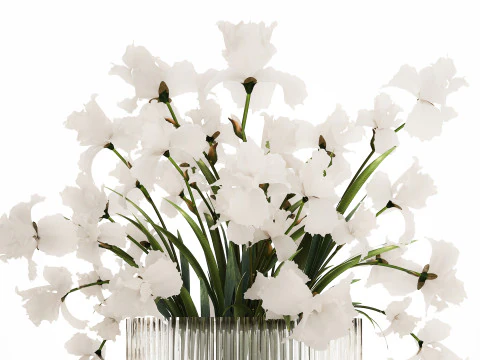 Beautiful white bouquet in a glass vase with flowers Iris 566 3D Model