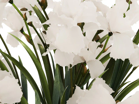 Beautiful white bouquet in a glass vase with flowers Iris 566 3D Model