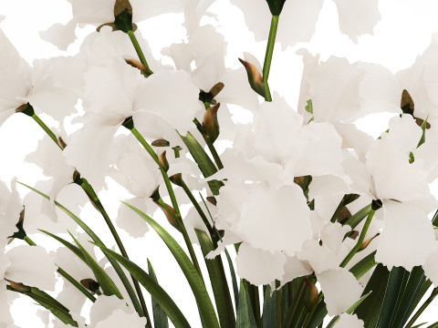Beautiful white bouquet in a glass vase with flowers Iris 566 Modelo 3D