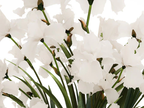 Beautiful white bouquet in a glass vase with flowers Iris 566 3D Model