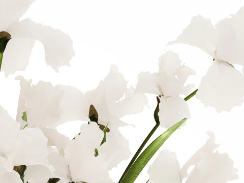 Beautiful white bouquet in a glass vase with flowers Iris 566 3D Model