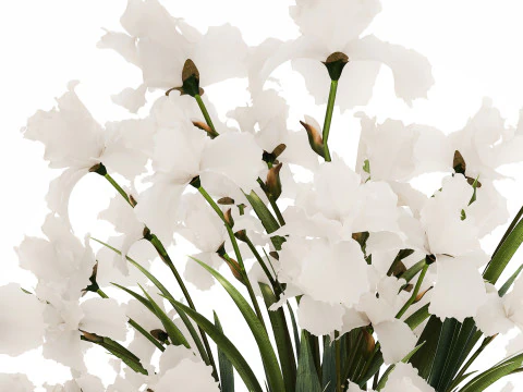 Beautiful white bouquet in a glass vase with flowers Iris 566 3D Model