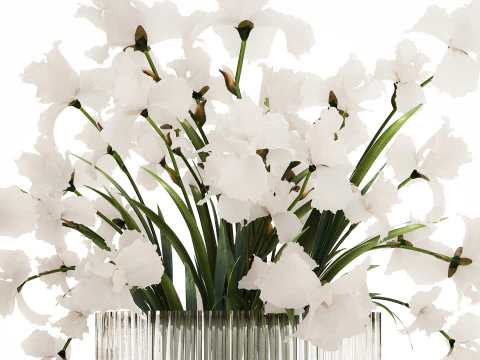 Beautiful white bouquet in a glass vase with flowers Iris 566 3D Model