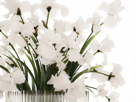 Beautiful white bouquet in a glass vase with flowers Iris 566 Modelo 3D