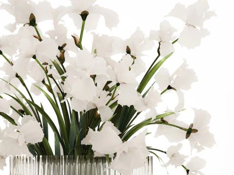 Beautiful white bouquet in a glass vase with flowers Iris 566 3D Model