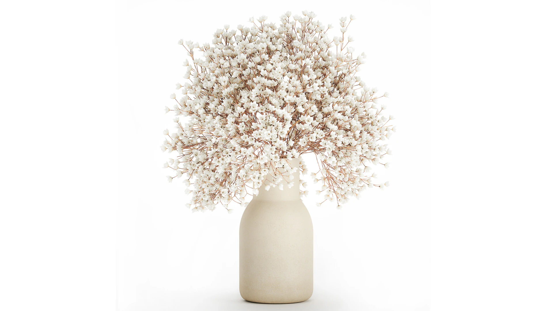 White Bouquet Dried Flowers Branches Gypsophila 567 3D Model .c4d .max .obj .3ds .fbx .stl .blend 