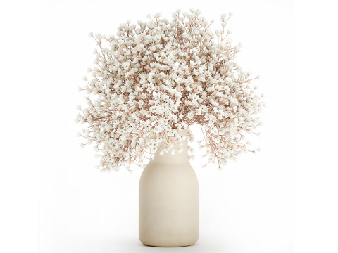 White Bouquet Dried Flowers Branches Gypsophila 567 Model 3D