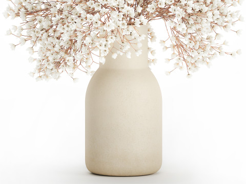 White Bouquet Dried Flowers Branches Gypsophila 567 3D Model