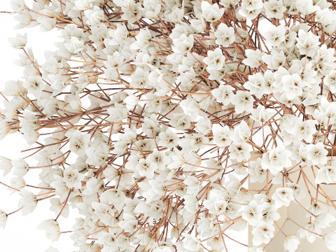 White Bouquet Dried Flowers Branches Gypsophila 567 3D Model