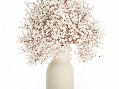 White Bouquet Dried Flowers Branches Gypsophila 567 3D Model