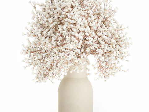 White Bouquet Dried Flowers Branches Gypsophila 567 3D Model