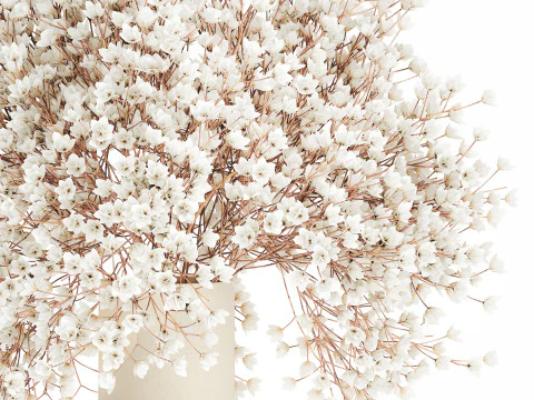 White Bouquet Dried Flowers Branches Gypsophila 567 3D Model