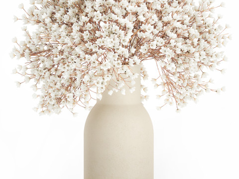 White Bouquet Dried Flowers Branches Gypsophila 567 3D Model