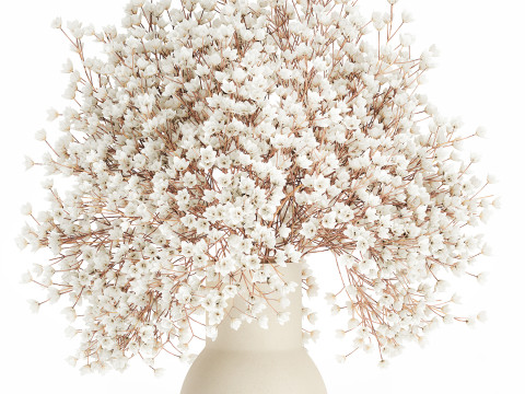 White Bouquet Dried Flowers Branches Gypsophila 567 3D Model