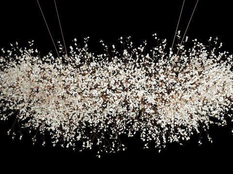 Hanging Installation Bouquet Dried Flowers Lunaria branches 568 Model 3D
