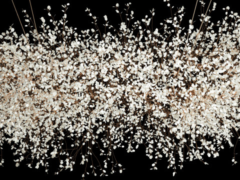 Hanging Installation Bouquet Dried Flowers Lunaria branches 568 3D-Modell