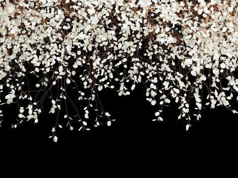 Hanging Installation Bouquet Dried Flowers Lunaria branches 568 3D-Modell