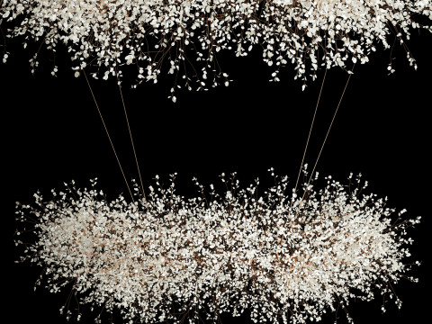 Hanging Installation Bouquet Dried Flowers Lunaria branches 568 3D-Modell