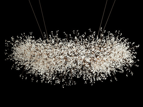 Hanging Installation Bouquet Dried Flowers Lunaria branches 568 3D-Modell