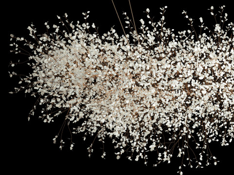 Hanging Installation Bouquet Dried Flowers Lunaria branches 568 3D-Modell