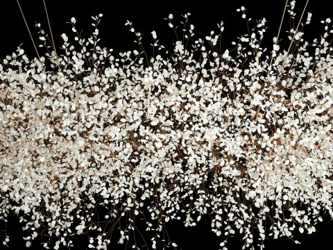 Hanging Installation Bouquet Dried Flowers Lunaria branches 568 3D-Modell