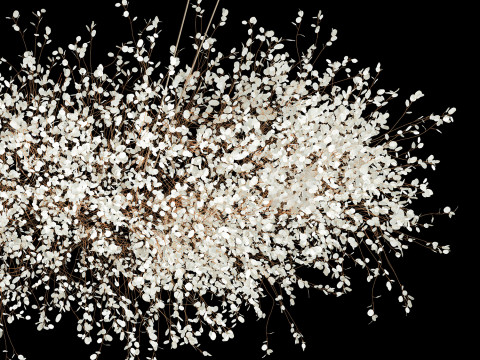 Hanging Installation Bouquet Dried Flowers Lunaria branches 568 3D-Modell