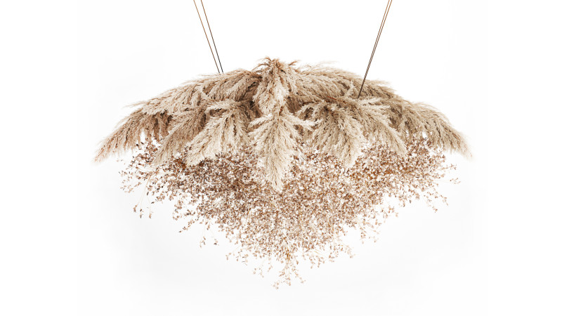 Hanging Installation Bouquet Dried Flowers Branch Lunaria pampas 3Dモデル .c4d .max .obj .3ds .fbx .stl .blend