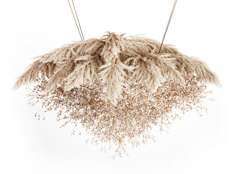 Hanging Installation Bouquet Dried Flowers Branch Lunaria pampas Model 3D
