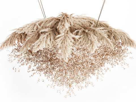 Hanging Installation Bouquet Dried Flowers Branch Lunaria pampas 3Dモデル