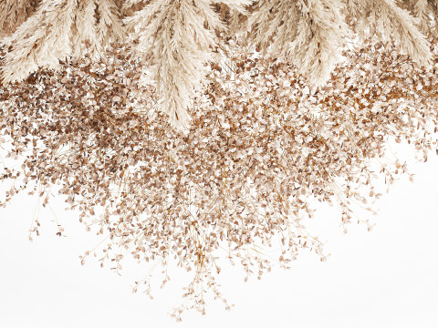 Hanging Installation Bouquet Dried Flowers Branch Lunaria pampas 3Dモデル