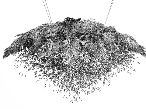 Hanging Installation Bouquet Dried Flowers Branch Lunaria pampas 3Dモデル