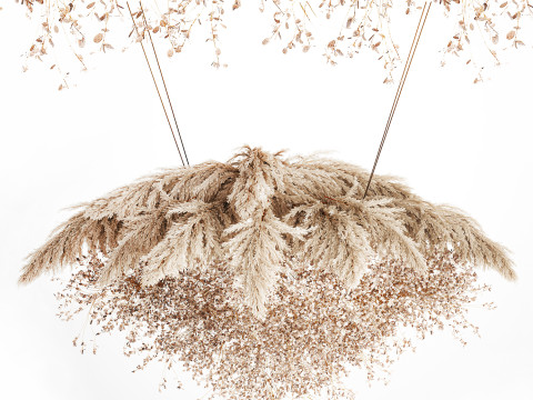 Hanging Installation Bouquet Dried Flowers Branch Lunaria pampas 3Dモデル