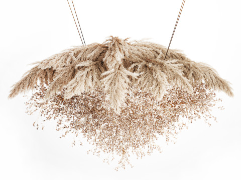 Hanging Installation Bouquet Dried Flowers Branch Lunaria pampas 3Dモデル