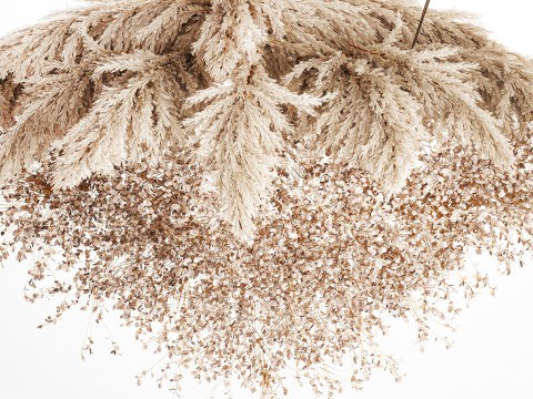Hanging Installation Bouquet Dried Flowers Branch Lunaria pampas 3Dモデル
