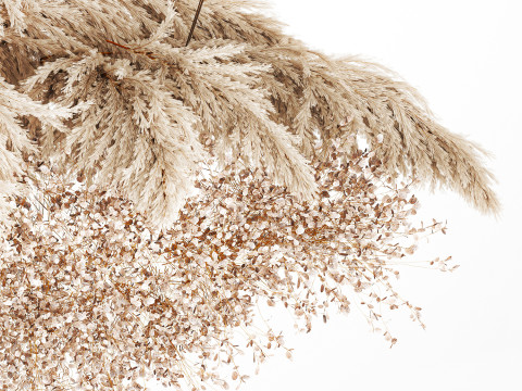 Hanging Installation Bouquet Dried Flowers Branch Lunaria pampas 3Dモデル