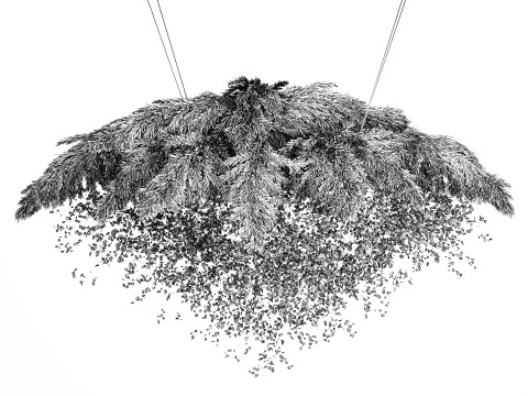 Hanging Installation Bouquet Dried Flowers Branch Lunaria pampas 3Dモデル