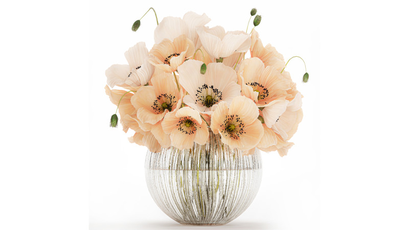 Beautiful Bouquet White Beige Wild Flowers Poppy 570 Modelo 3D .c4d .max .obj .3ds .fbx .stl .blend