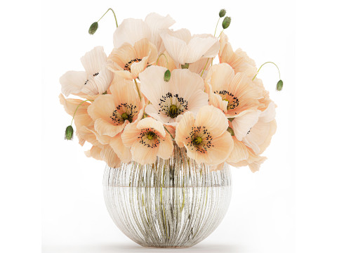 Beautiful Bouquet White Beige Wild Flowers Poppy 570 3D Model