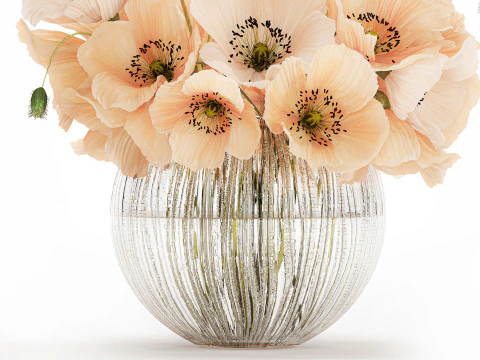 Bellissimo bouquet di fiori selvatici bianchi beige papavero 570 Modello 3D