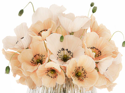 Bellissimo bouquet di fiori selvatici bianchi beige papavero 570 Modello 3D