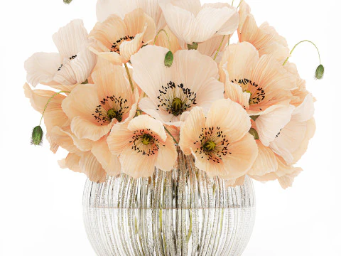 Bellissimo bouquet di fiori selvatici bianchi beige papavero 570 Modello 3D