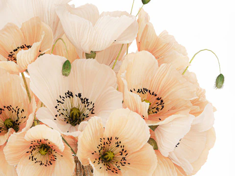 Bellissimo bouquet di fiori selvatici bianchi beige papavero 570 Modello 3D