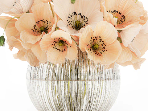Bellissimo bouquet di fiori selvatici bianchi beige papavero 570 Modello 3D